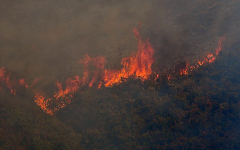 Πυρκαγιά καίει δάσος στο Πετρωτό Δομοκού Φθιώτιδας