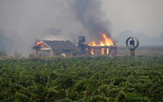 FILE PHOTO: A burning structure is seen in the middle of a vineyard during the Kincade fire in Geyserville, California, U.S. October 24, 2019. REUTERS/Stephen Lam/File Photo