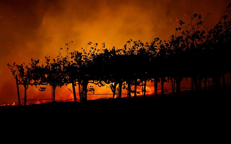 Καίγονται οι φημισμένοι αμπελώνες της Καλιφόρνια (φωτογραφίες)