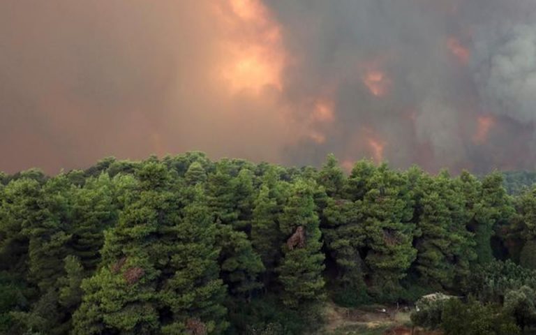 Φωτιά μαίνεται για 4η μέρα σε βουνό της Πέλλας στα σύνορα με την Βόρεια Μακεδονία