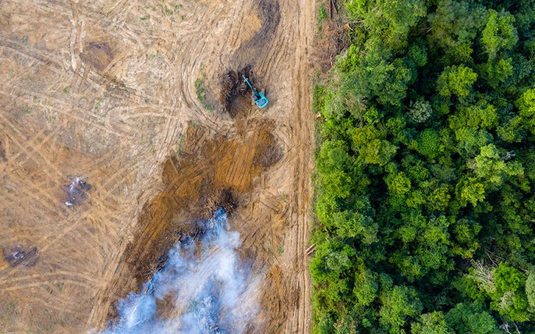 Πάνω από 10.000 τετραγωνικά χλμ. του δάσους του Αμαζονίου αποψιλώθηκαν σε 12 μήνες