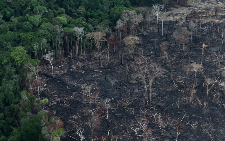 Αμαζόνιος – SOS: Εκτοξεύτηκε η αποψίλωση των δασών