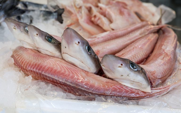 Ερευνα: Οι περισσότεροι Έλληνες τρώνε κατεψυγμένο μπλε καρχαρία – όχι γαλέο