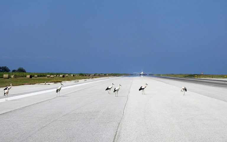 Κεφάλαιο «Bird Strike»: Με ποιους τρόπους προστατεύονται οι αερομεταφορές αλλά και η άγρια ζωή
