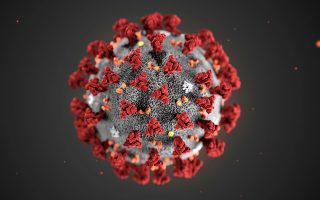 The ultrastructural morphology exhibited by the 2019 Novel Coronavirus (2019-nCoV), which was identified as the cause of an outbreak of respiratory illness first detected in Wuhan, China, is seen in an illustration released by the Centers for Disease Control and Prevention (CDC) in Atlanta, Georgia, U.S. January 29, 2020. Alissa Eckert, MS; Dan Higgins, MAM/CDC/Handout via REUTERS.  THIS IMAGE HAS BEEN SUPPLIED BY A THIRD PARTY. MANDATORY CREDIT