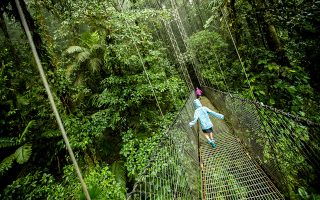 Περιήγηση στο τροπικό δάσος του Arenal, πάνω σε κρεμαστές γέφυρες. (Φωτογραφία: Shutterstock)