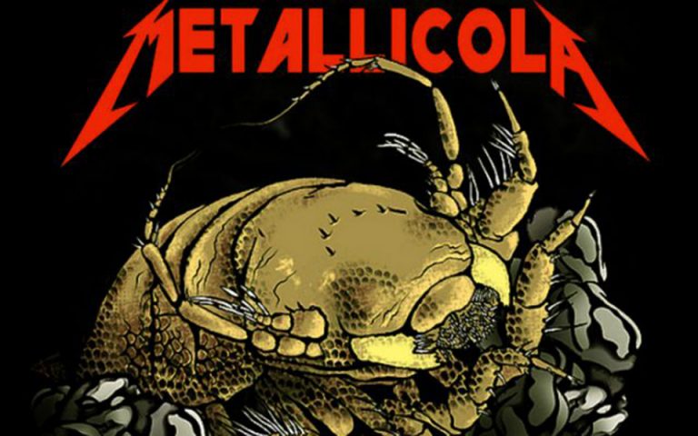 Το νέο οστρακόδερμο που ονομάζεται… Metallica