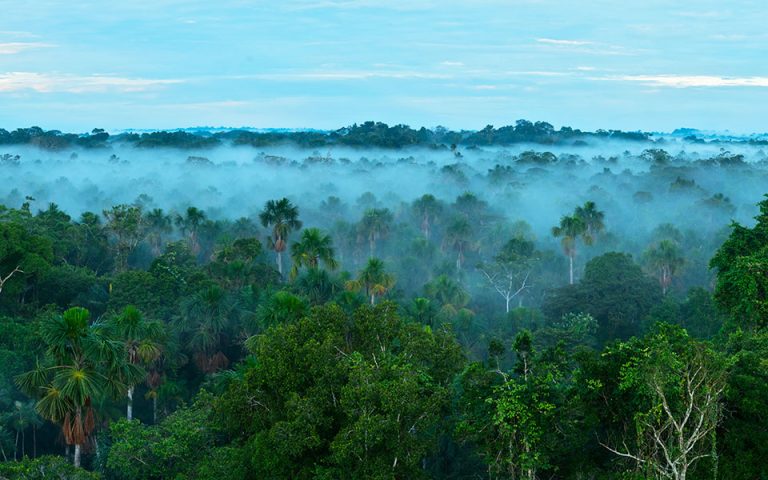Ισημερινός: Ιθαγενείς μπαίνουν στα βάθη της ζούγκλας του Αμαζονίου για να γλιτώσουν από τον κορωνοϊό