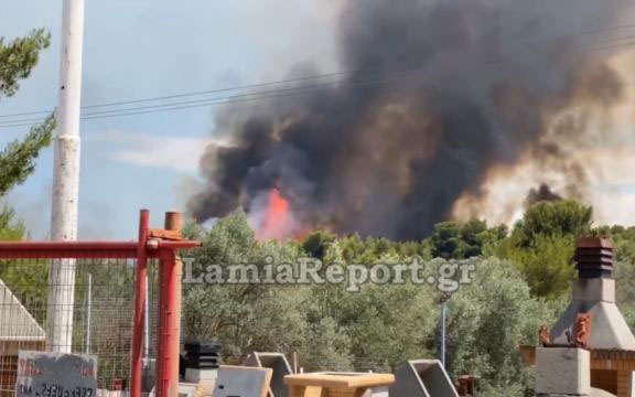 Σε δύο μέτωπα μαίνεται η πυρκαγιά στο Θεολόγο Φθιώτιδας (βίντεο)