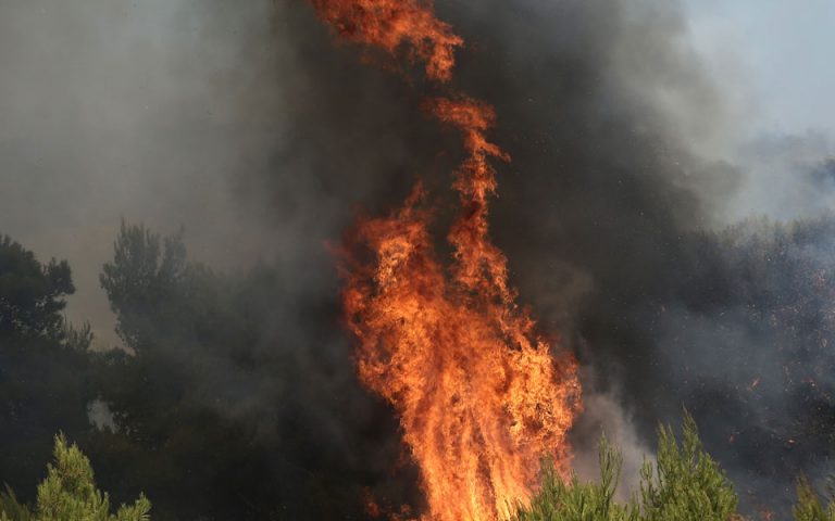 Θεσσαλονίκη: Υπό μερικό έλεγχο η πυρκαγιά στο Ωραιόκαστρο