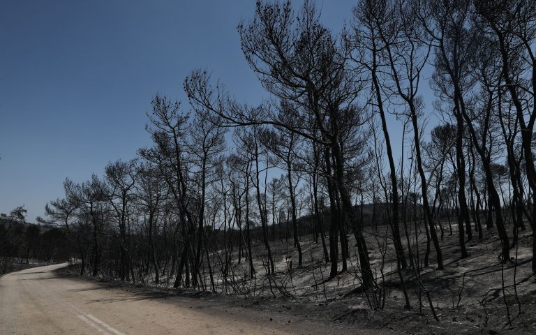 Σε εξέλιξη οι φωτιές σε Κορινθία και Ηλεία – 64 δασικές πυρκαγιές το τελευταίο 24ωρο