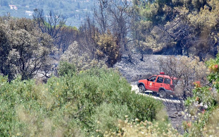 Πυρκαγιά στη Ροδόπη – Εκκενώθηκε οικισμός