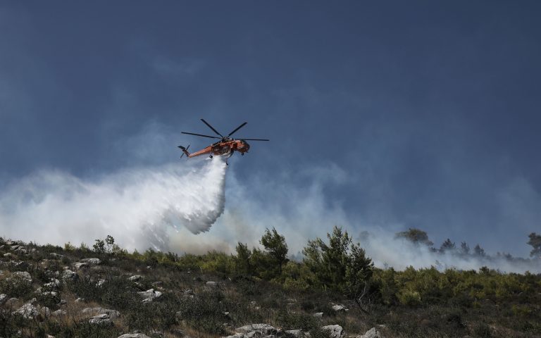 Έβρος: Μαίνεται η πυρκαγιά – Ενισχύθηκαν οι δυνάμεις της πυροσβεστικής