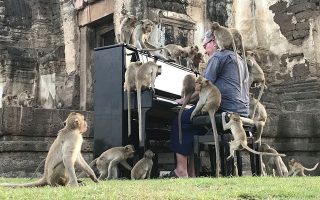 British musician Paul Barton plays the piano for monkeys that occupy abandoned historical areas in Lopburi, Thailand November 21 2020. Picture taken November 21, 2020. REUTERS/Prapan Chankaew