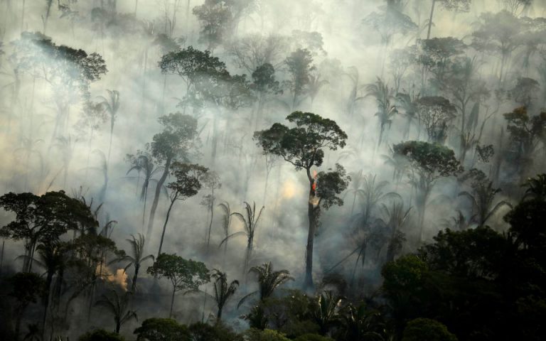 Αμαζόνιος: Οι πυρκαγιές συνεχίζουν το καταστροφικό τους έργο