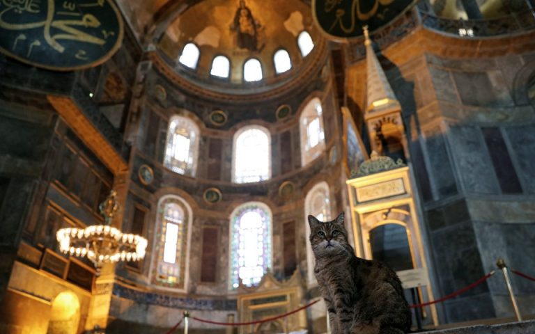 Η Κωνσταντινούπολη θρηνεί τη γάτα της Αγίας Σοφίας