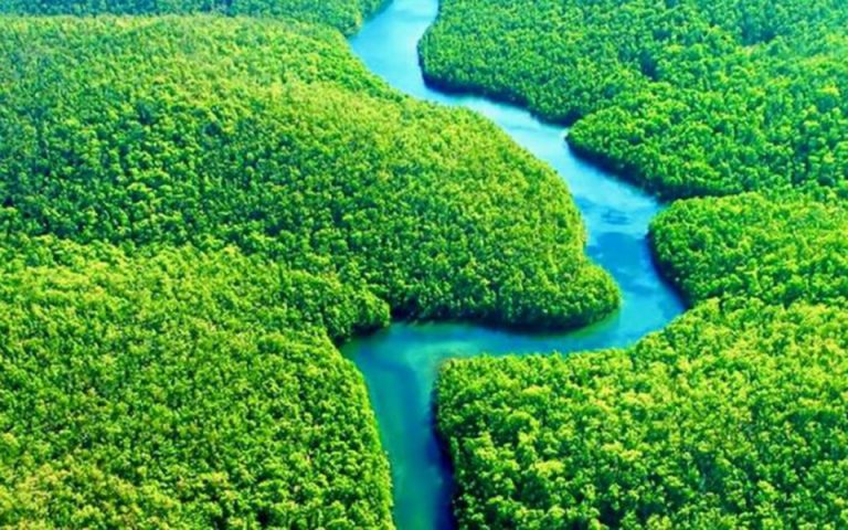 Η Ουάσιγκτον μπορεί να σώσει τον Αμαζόνιο