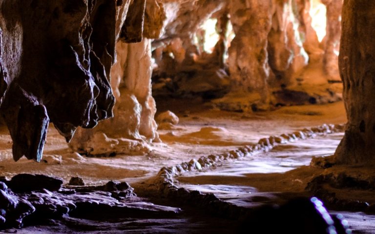 Γουχάν: Επιστημονές ζητούν έρευνες σε σπηλιές νυχτερίδων για ίχνη του κορωνοϊού