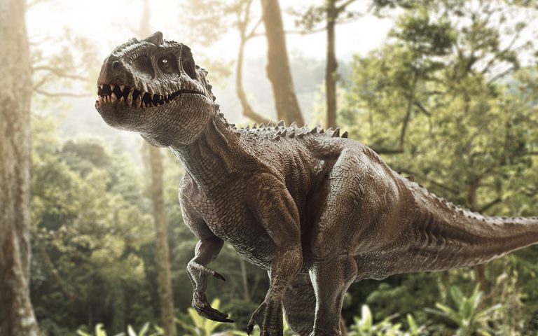 Οι τυραννόσαυροι πιθανόν να κυνηγούσαν σε αγέλες