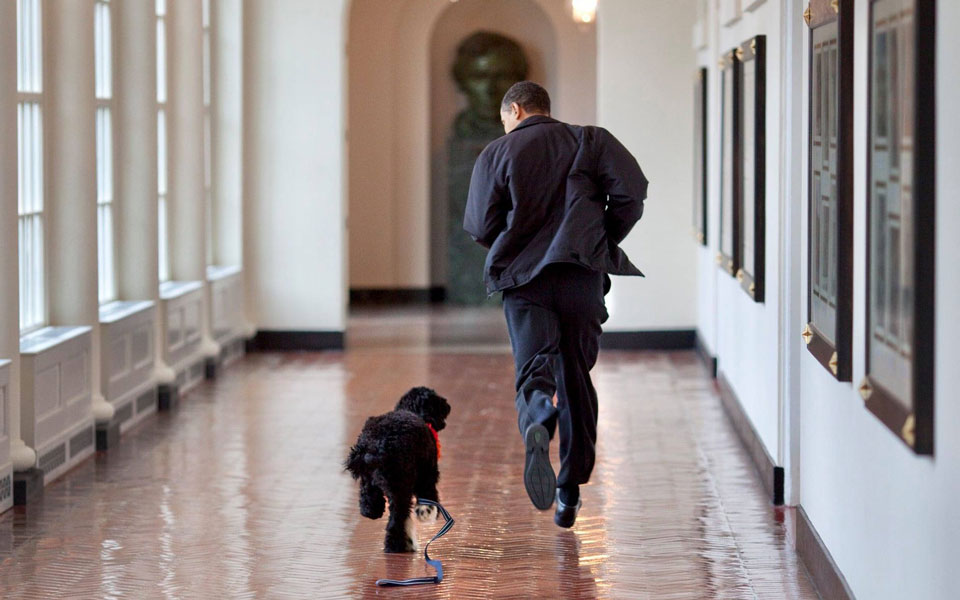 Πέθανε ο σκύλος των Ομπάμα: «Χάσαμε έναν αληθινό φίλο και έναν πιστό σύντροφο»