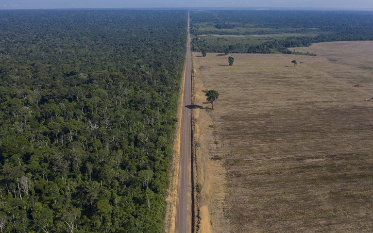 Ερευνα – χαστούκι στον Μπολοσονάρου: Παράνομη η αποψίλωση του τροπικού δάσους του Αμαζονίου