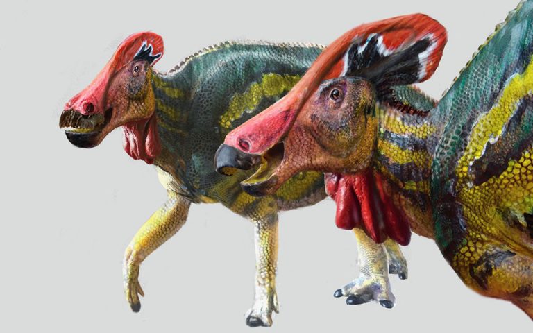 Αναγνωρίστηκε νέο είδος δεινοσαύρων – Τι ήταν ο  Tlatolophus galorum