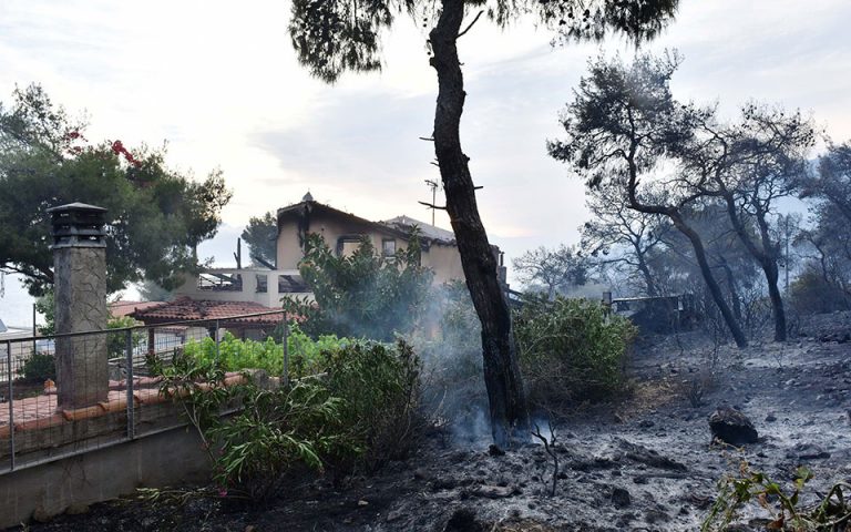 Φωτιά σε Κορινθία – Δυτική Αττική: «Επρεπε να έχει γίνει τουλάχιστον μείωση της καύσιμης ύλης»