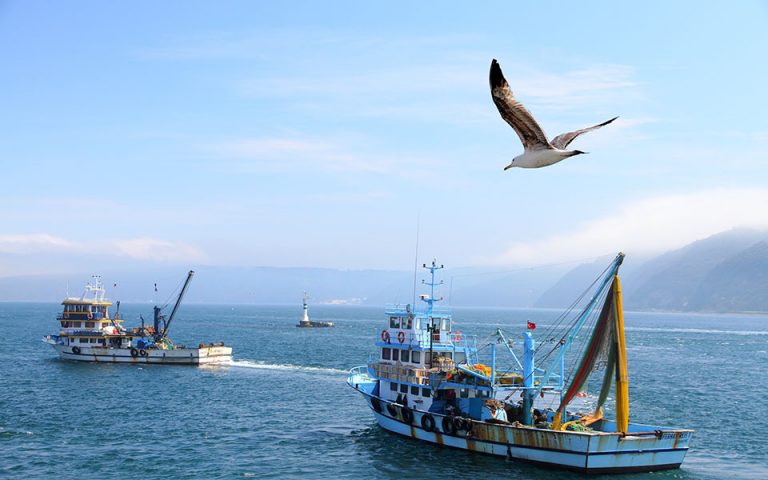 Τουρκικά αλιευτικά στη Γαύδο