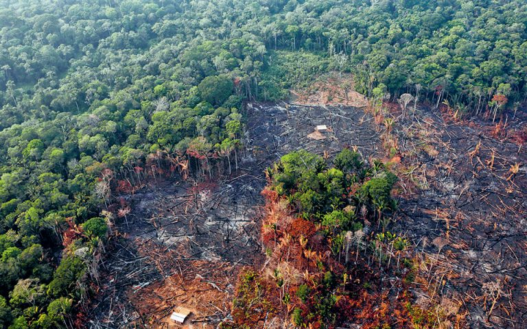 Βραζιλία: Ύποπτος για λαθρεμπόριο ξυλείας o υπουργός Περιβάλλοντος