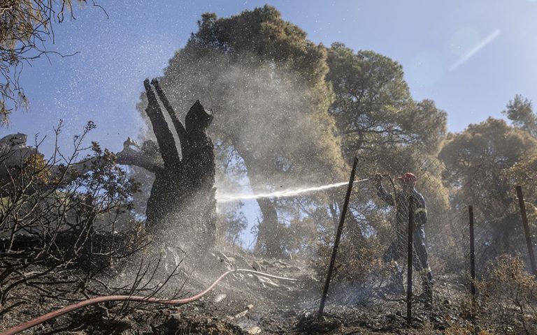 Φωτιά σε Κορινθία και Δυτική Αττική: Εκκενώνεται ο οικισμός Παπαγιαννέικα στα Μέγαρα