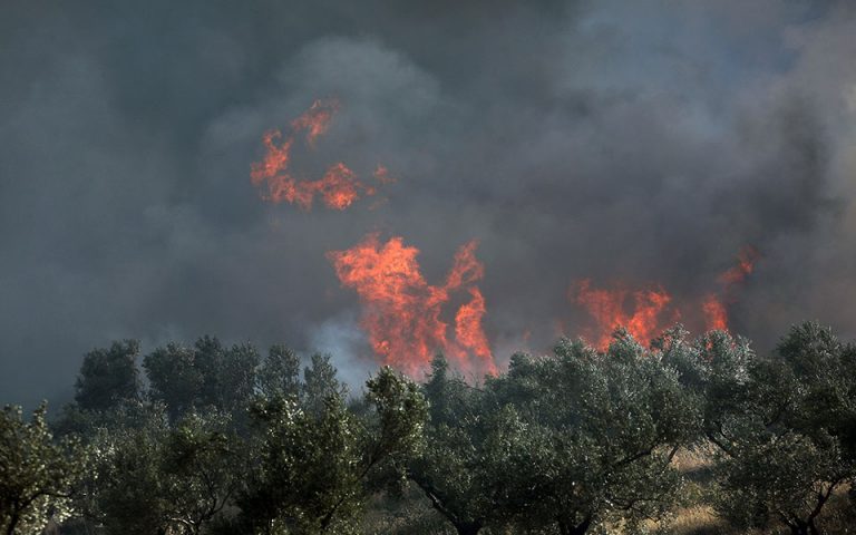 Κατασβέστηκε η πυρκαγιά στα Καλύβια