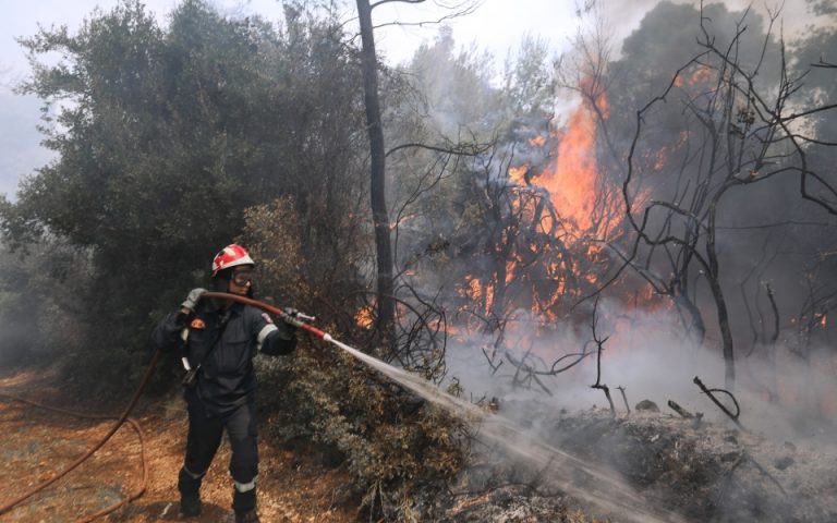 Φωτιά στην Βραυρώνα – Δεν απειλείται κατοικημένη περιοχή
