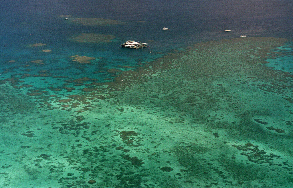 perivallontiki-kontra-oie-aystralias-gia-ton-megalo-koralliogeni-yfalo0