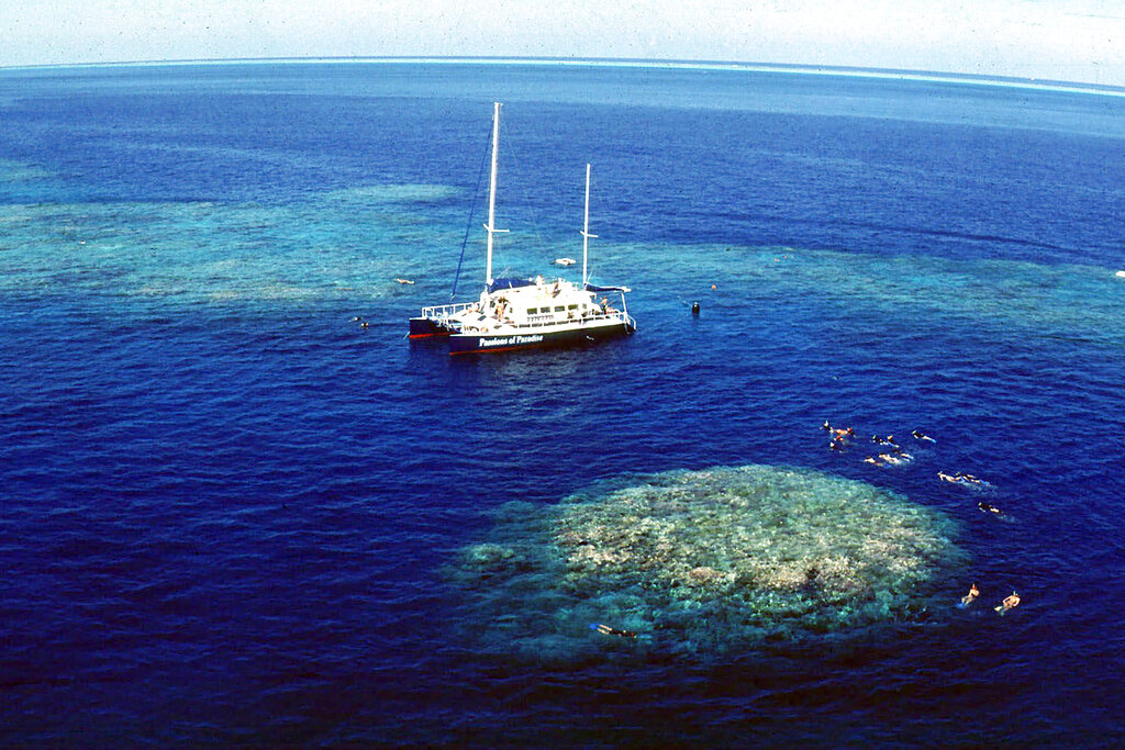 perivallontiki-kontra-oie-aystralias-gia-ton-megalo-koralliogeni-yfalo2