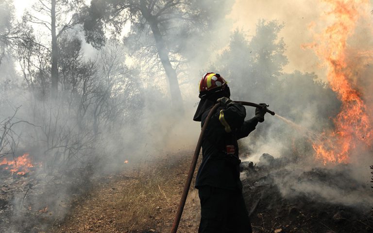 Πυρκαγιά σε δασική έκταση στην Παλαιομακάριζα Λαυρίου Αττικής