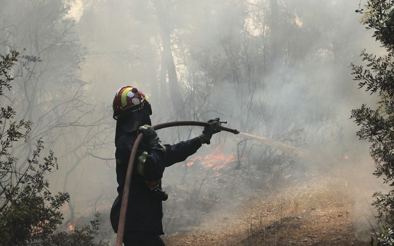 Φωτιά στη Ροδόπη – Ενισχύονται οι πυροσβεστικές δυνάμεις