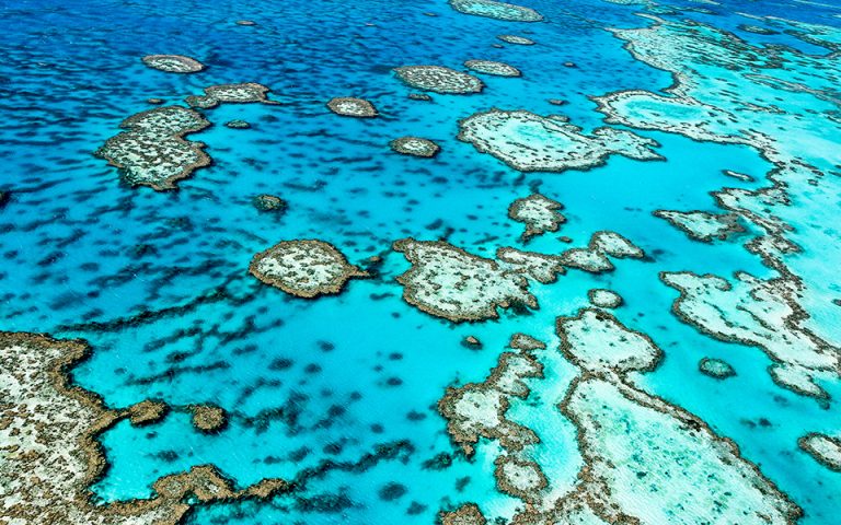 Περιβαλλοντική «κόντρα» ΟΗΕ – Αυστραλίας για τον Μεγάλο Κοραλλιογενή Υφαλο