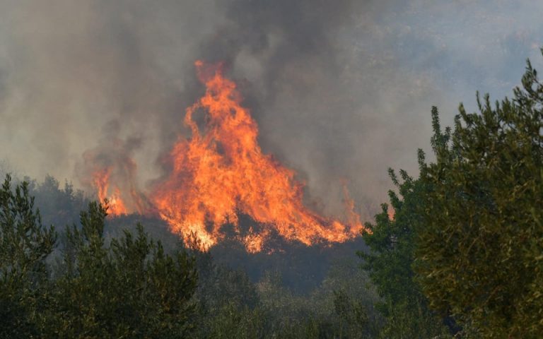 Φωτιά κοντά σε κατοικημένη περιοχή στη Χαλκίδα – Εκκένωση χωριού στην Αργολίδα