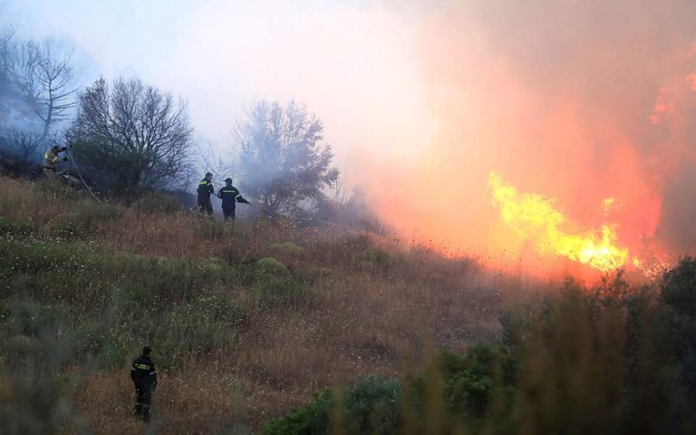 Ολονύχτια μάχη με τις φλόγες στη Σάμο – Ενισχύονται οι πυροσβεστικές δυνάμεις (βίντεο)