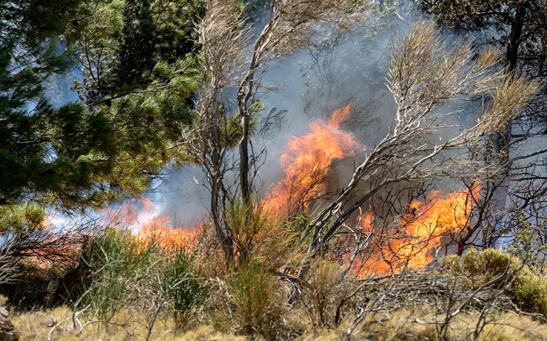 Ενισχύονται οι δυνάμεις στην πυρκαγιά του Βαρνάβα – Σε εξέλιξη η φωτιά στην Ελευσίνα