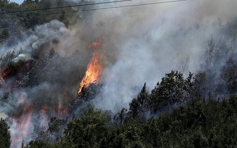 Θεσσαλονικη: Φωτιά στο Σέιχ Σου – Μεγάλη κινητοποίηση της Πυροσβεστικής