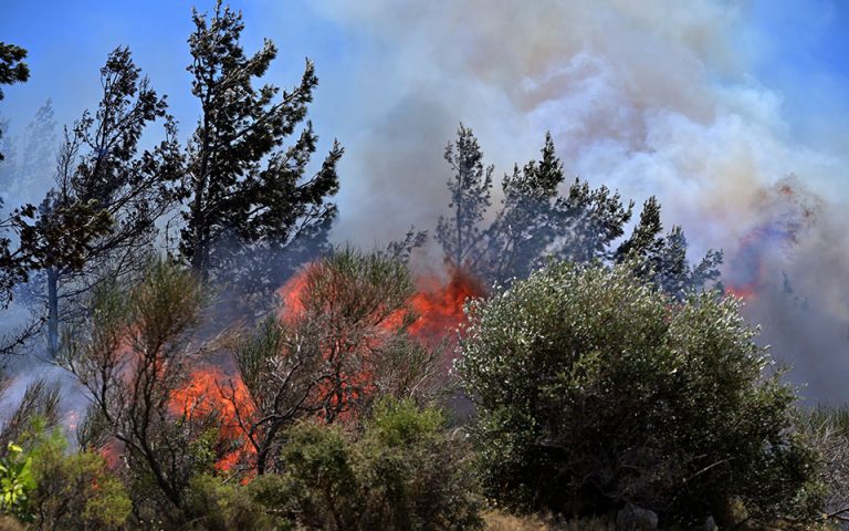 Φωτιά σε δασική έκταση στην Αχαΐα – Εντολή για μερική εκκένωση του χωριού Δροσιά