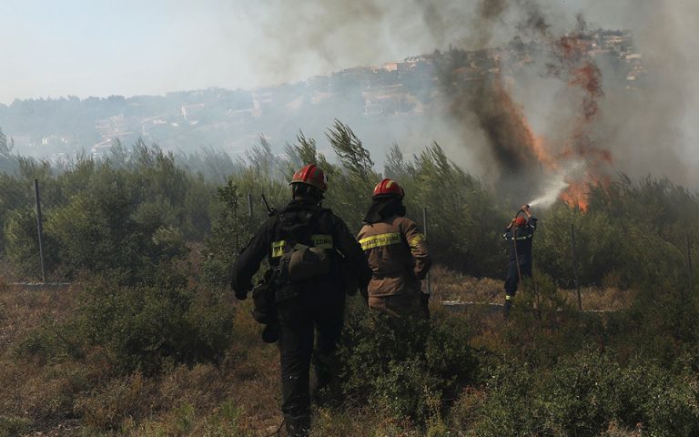 Χανιά: Σε ύφεση η φωτιά σε ορεινή περιοχή του Δήμου Καντάνου-Σελίνου