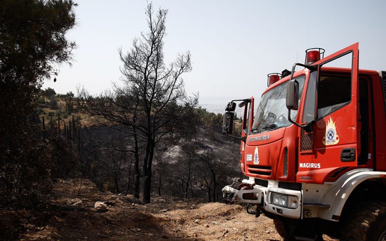 Θεσσαλονίκη: Φωτιά στη Νεοχωρούδα