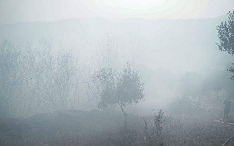 Νέα πυρκαγιά ξέσπασε στη Χαλκιδική