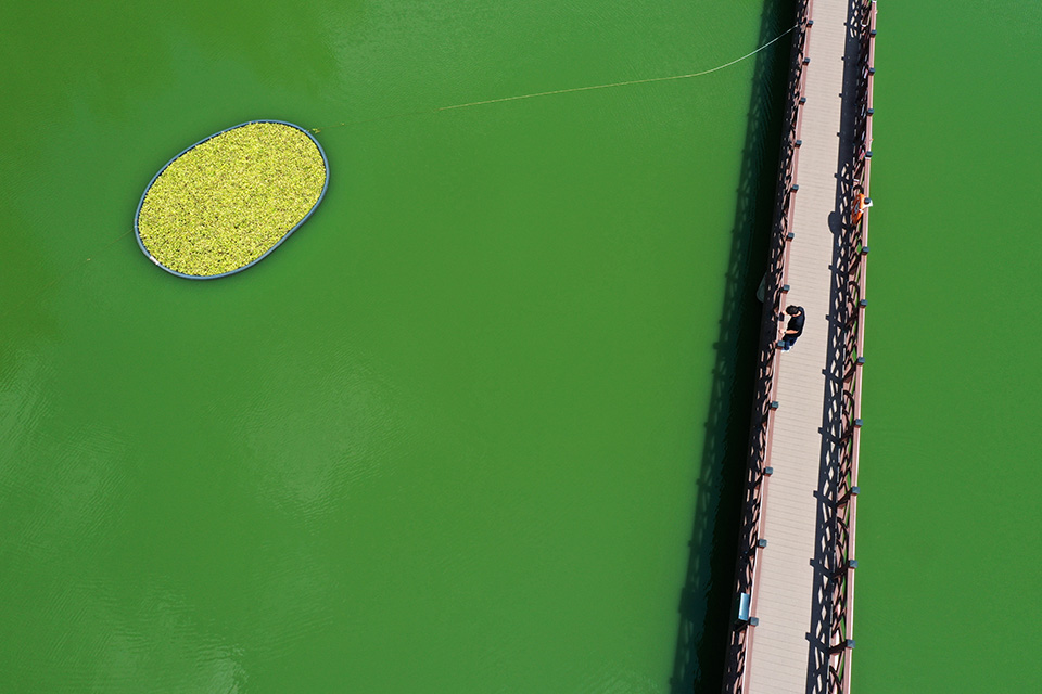 Πράσινο στα νερά