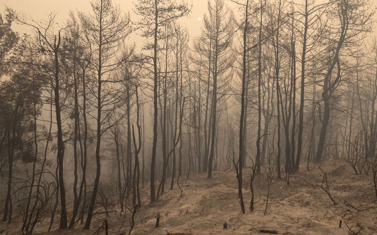 Φωτιές – Meteo: Κάηκε το ένα τρίτο των δασών στην Εύβοια