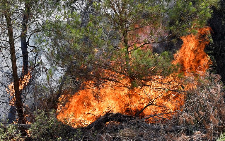 Φωτιά στη Ρόδο: Μάχη με τις αναζωπυρώσεις δίνουν πυροσβέστες και εθελοντές