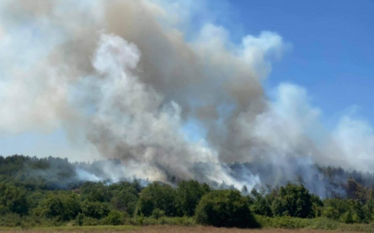 Ροδόπη: Υπό έλεγχο η πυρκαγιά στο δάσος της Νυμφαίας