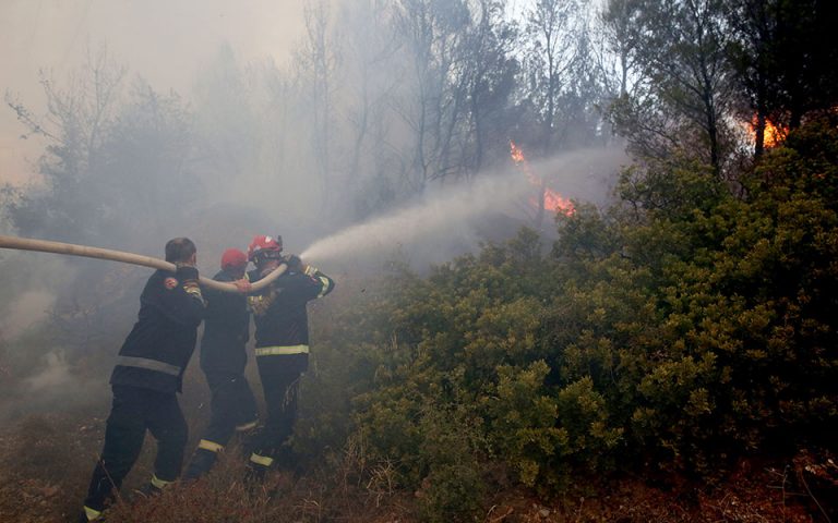Φωτιά στη βόρεια Αττική: Οι φλόγες πέρασαν στον ιστορικό πυρήνα του Τατοΐου